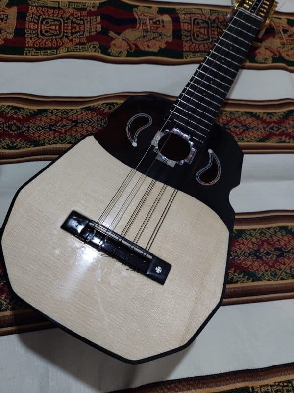 Ronroco Profesional "PQ.031"