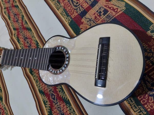 Walaycho Profesional "PQ.040"